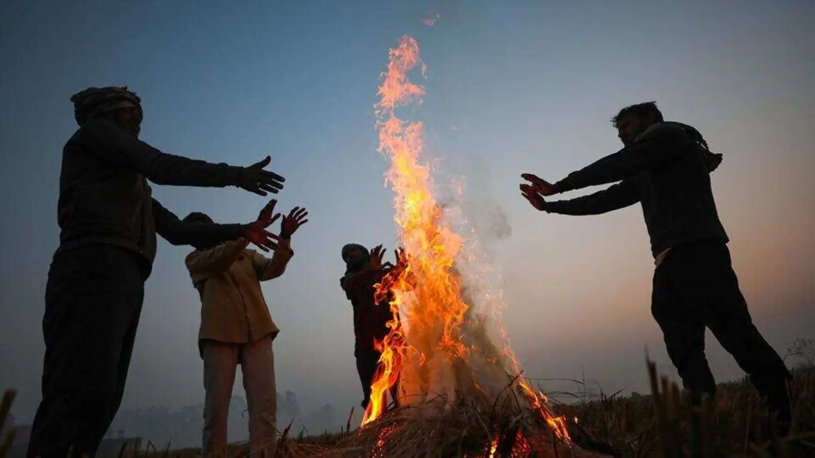 IMD Alert : Cold is not reducing even after shining sunshine, IMD told when will there be relief from cold wave IMD Alert : Cold is not reducing even after shining sunshine, IMD told when will there be relief from cold wave