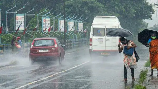 Rainfall alert! There will be heavy rain in these districts today, check rainfall condition in your city Rainfall alert! There will be heavy rain in these districts today, check rainfall condition in your city