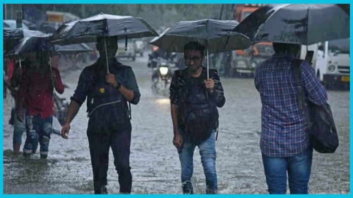IMD issued heavy rain alert : Rain alert issued after snowfall, read IMD's warning regarding weather