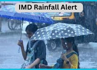 IMD Rainfall Alert: Rain and snowfall alert in half of the country on the first day of March, know the weather condition