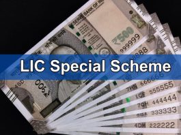 LIC Jeevan Anand Scheme : By paying Rs 45 daily, you will get Rs 25 lakh, this policy of LIC is giving high returns