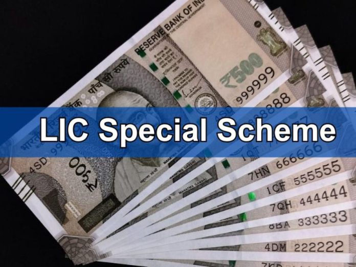 LIC Jeevan Anand Scheme : By paying Rs 45 daily, you will get Rs 25 lakh, this policy of LIC is giving high returns
