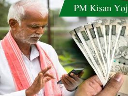 PM Kisan 17th installment: These farmers should complete this work immediately, the 17th installment of PM Kisan is coming!