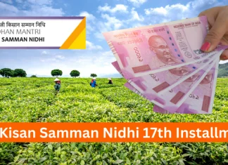 PM Kisan 17th Installment: If this work is not done then the money of 17th installment will not come in the account.