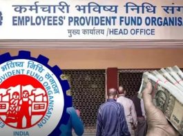 EPF Interest rate : How much interest will be given on the money deposited in PF account? Find out like this