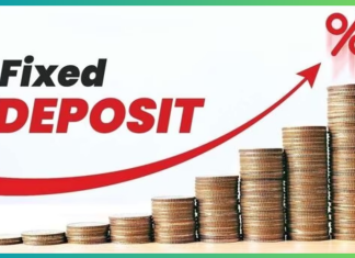 Bank FD New Interest Rates: Which bank is offering the best interest on fixed deposits in May 2024? Check full list