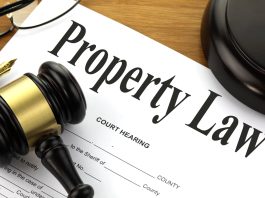 Wife's property rights: How much right does the wife have in the property after her husband, the High Court made it clear in its decision