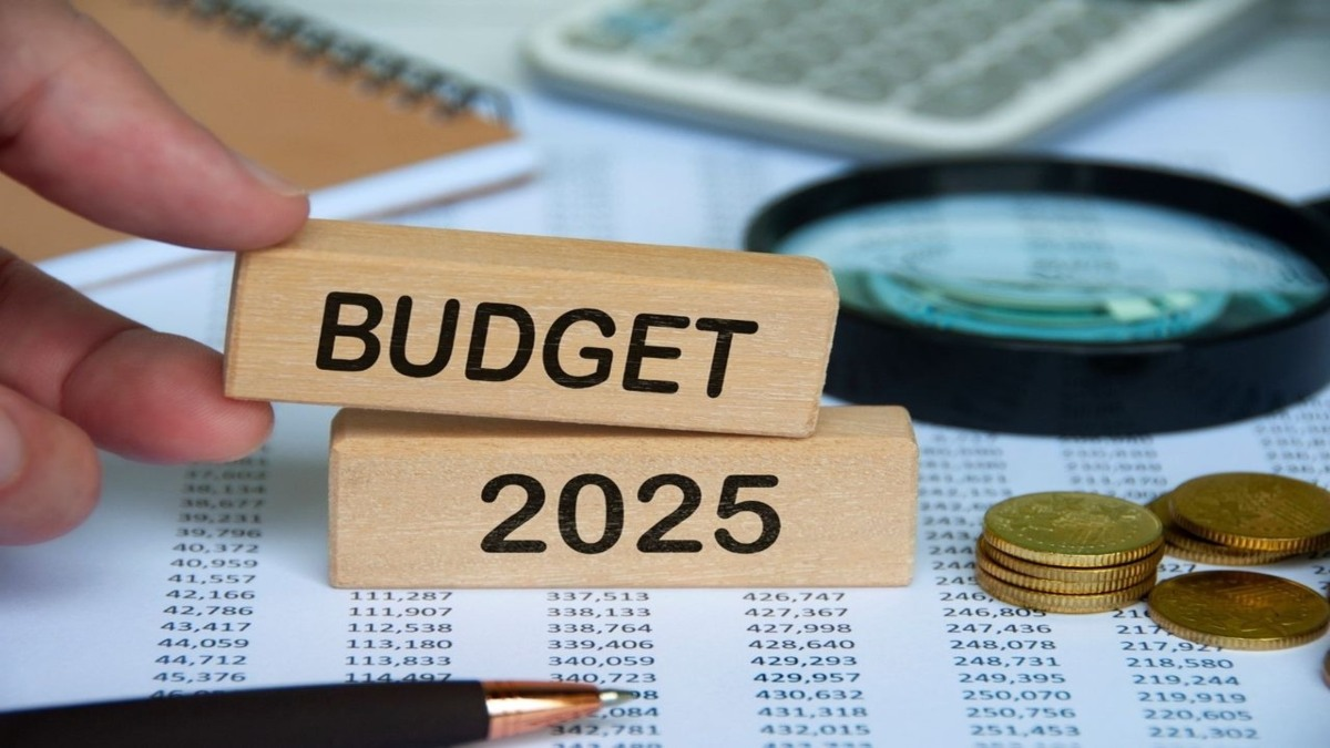 Budget 2025 Govt may Announce to Change Tax Slab for Employed and