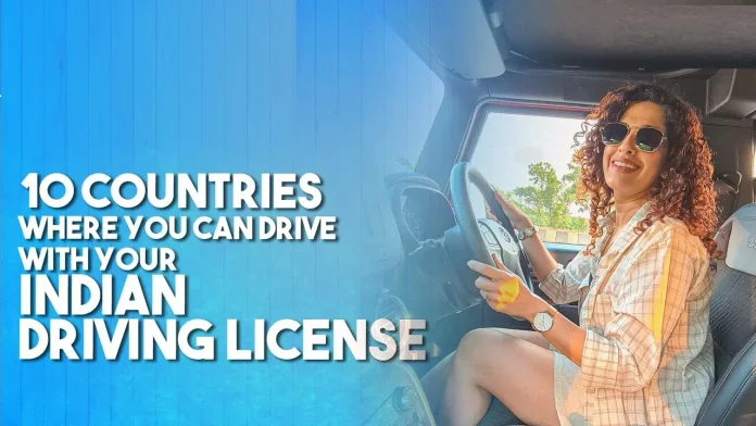 Driving License12313214