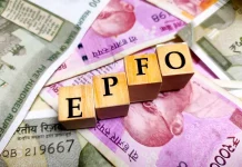 EPFO News: PF Interest Rate Retained at 8.25% for 2025-26 EPFO interest rate 2025-26