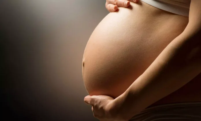 290742-terumo-logo-2 India total fertility rate replacement level drop