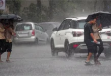 Monsoon: Monsoon stuck in Maharashtra due to these 5 reasons, Kharif crops may be affected