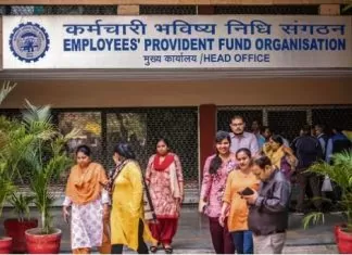 EPF Interest Rate 2024-25: Government approves 8.25% interest on EPF