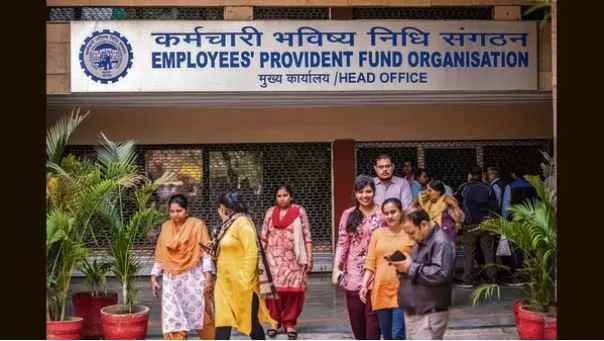 EPF Interest Rate 2024-25: Government approves 8.25% interest on EPF