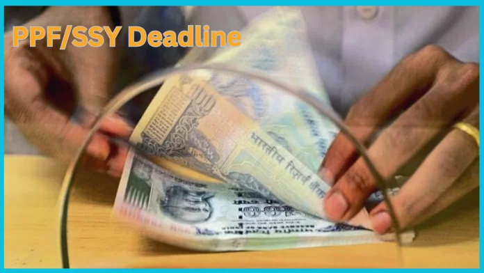 PPF/SSY Deadline : Attention investors of these small savings schemes, if this work is not done till 31st March, penalty will be imposed. PPF/SSY Deadline : Attention investors of these small savings schemes, if this work is not done till 31st March, penalty will be imposed.