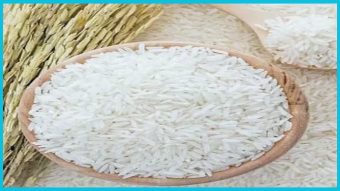 Rice Export : Big decision of the Central Government, 20 percent export duty will remain on rice export even after March 31. Rice Export : Big decision of the Central Government, 20 percent export duty will remain on rice export even after March 31.