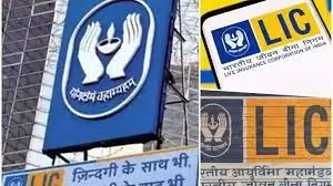 LIC Share Price : LIC's shares crossed Rs 1000 for the first time, investors printed money heavily today! LIC Share Price : LIC's shares crossed Rs 1000 for the first time, investors printed money heavily today!