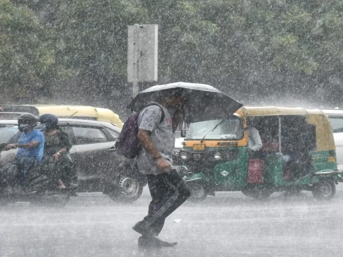 Rainfall Report