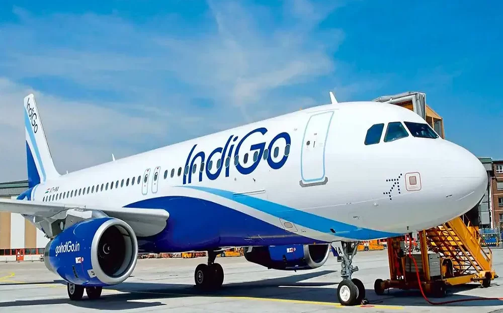 Indigo Sale