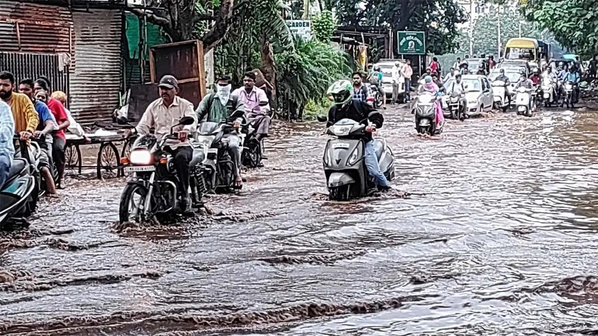 IMD Update : Cold wave to increase in Delhi-UP, heavy rain alert in Maharashtra, know today's weather update IMD Update : Cold wave to increase in Delhi-UP, heavy rain alert in Maharashtra, know today's weather update
