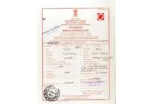 Lost Birth Certificate? Simple Steps to Get a New One