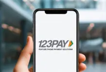 UPI 123Pay : Payment without internet, just a missed call! How and what is the process?