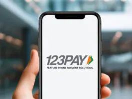 UPI 123Pay : Payment without internet, just a missed call! How and what is the process?