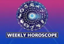 Career & Money Horoscope Nov 28: Trust Your Gut Guidance