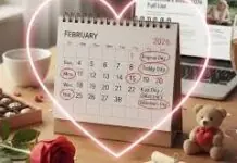 Valentine’s Week 2026 List: Full Schedule and Dates Valentine’s Week 2026 List: Full Calendar from Rose Day