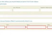 How to Cancel PAN Card in India: Online & Offline Surrender Guide PAN card