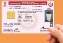 Road Transport Ministry Mulls Landmark Proposal to Extend Private Driving Licence Validity Up to Age 50