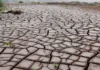 Disrupted Monsoons to Trigger Heat and Drought Cycle Across India El Nino India monsoon drought