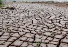 Disrupted Monsoons to Trigger Heat and Drought Cycle Across India El Nino India monsoon drought