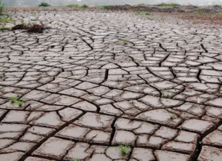 El Nino India monsoon drought