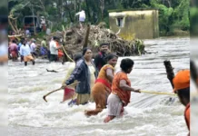 Kerala Floods: Death Toll Rises to 15, Seven Missing; Over 11,000 Moved to Relief Camps Kerala Floods: Death Toll Rises to 15, Over 11,000 Shifted to Relief Camps